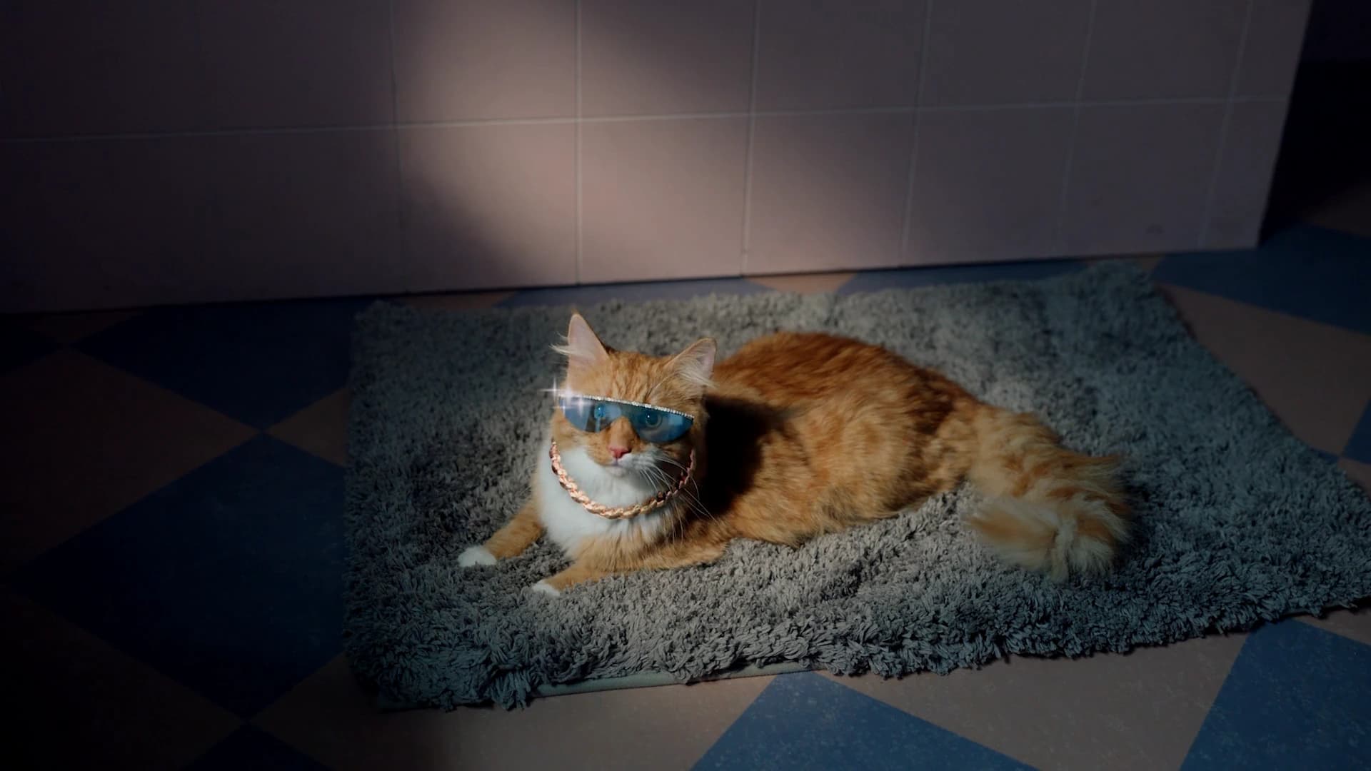 Cat With 3D Glasses